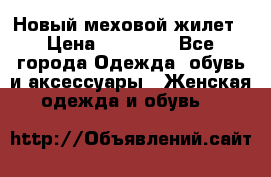 Новый меховой жилет › Цена ­ 14 000 - Все города Одежда, обувь и аксессуары » Женская одежда и обувь   